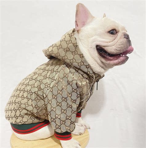 gucci dog coats